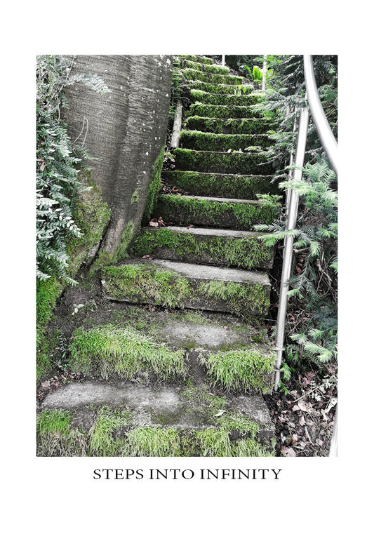 Steps into Infinity